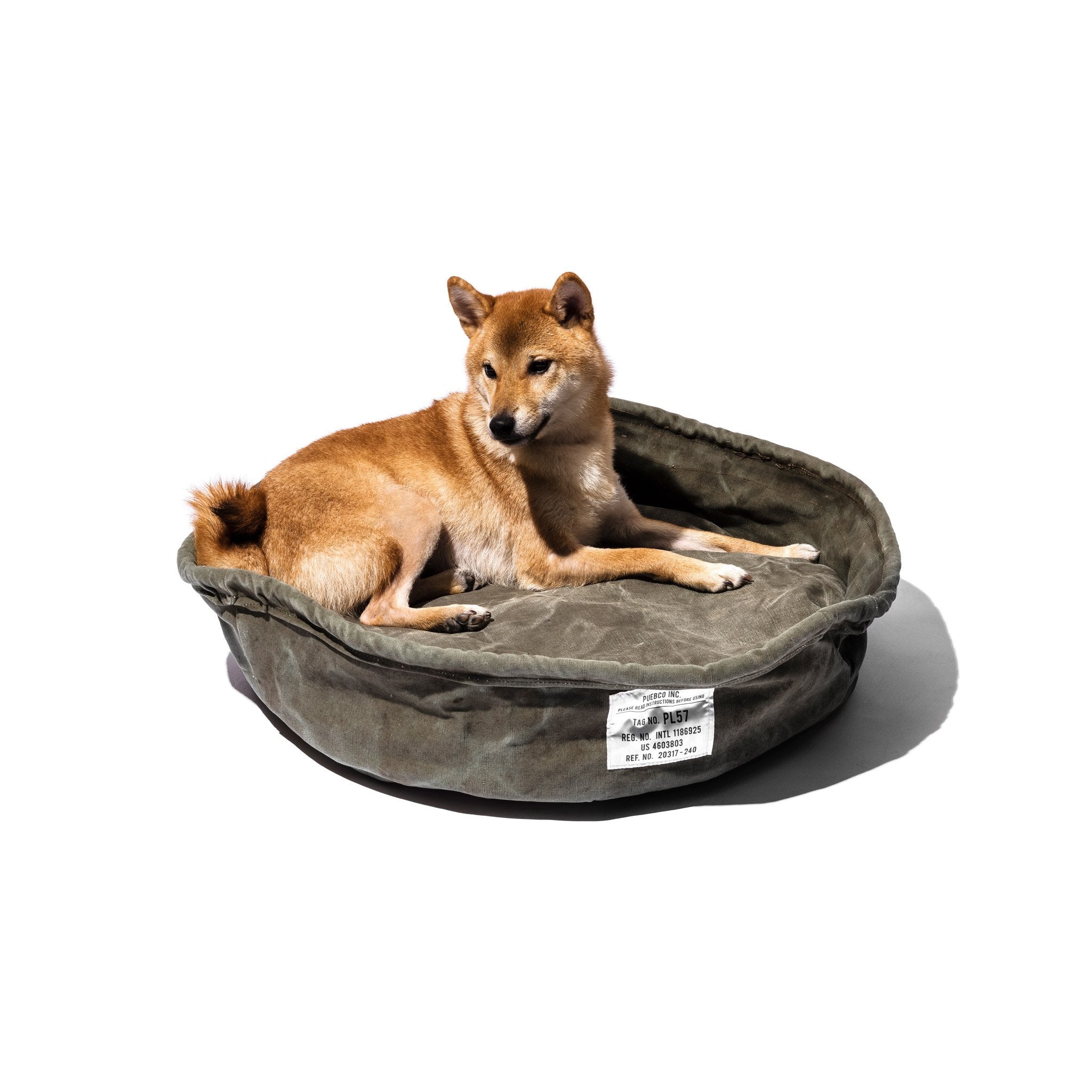 puppy tent bed