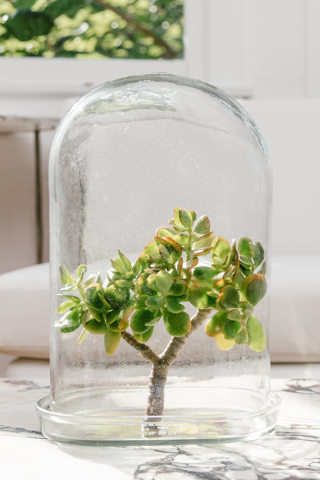 小物入れ DISPLAY GLASS DOME / PUEBCO DISPLAY GLASS DOME – PUEBCO ONLINE MARKET