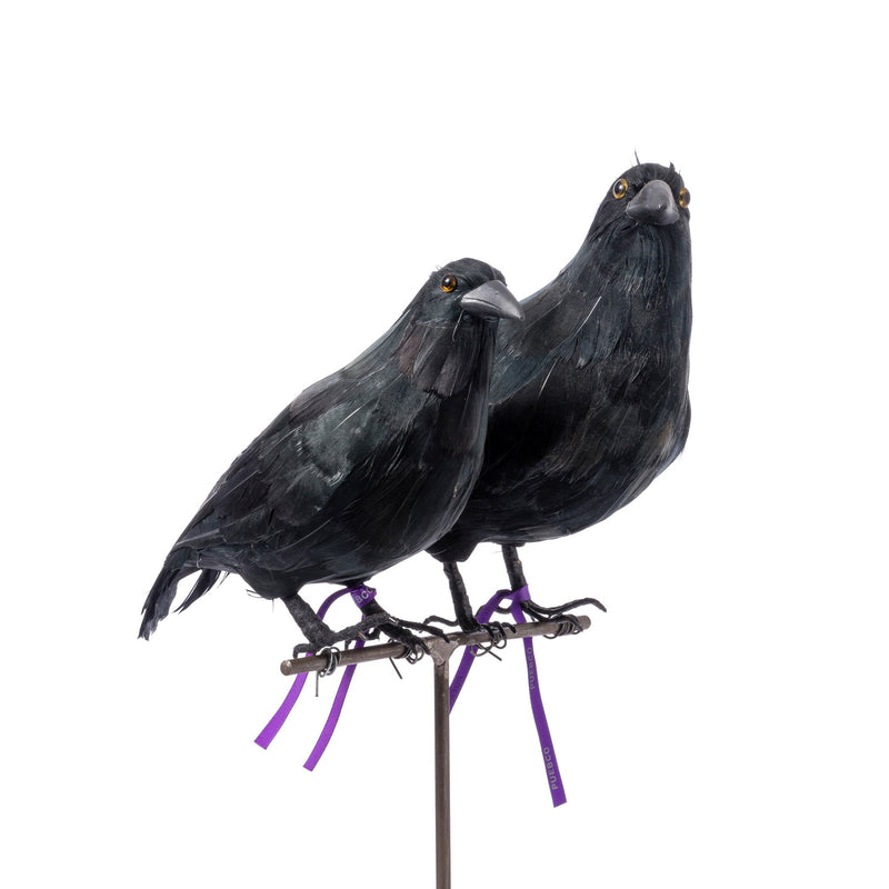 ARTIFICIAL BIRDS / CROW