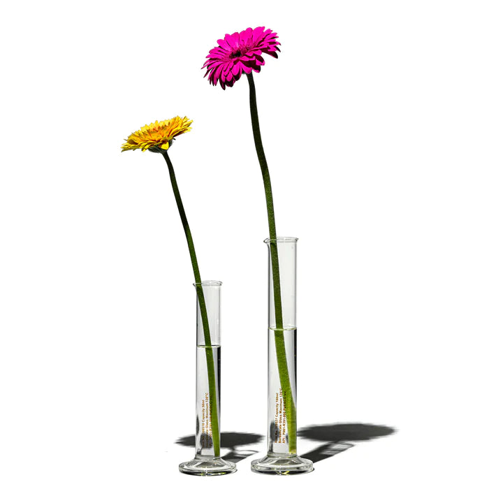 SINGLE FLOWER VASE – PUEBCO ONLINE MARKET