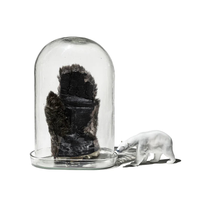 DISPLAY GLASS DOME – PUEBCO ONLINE MARKET