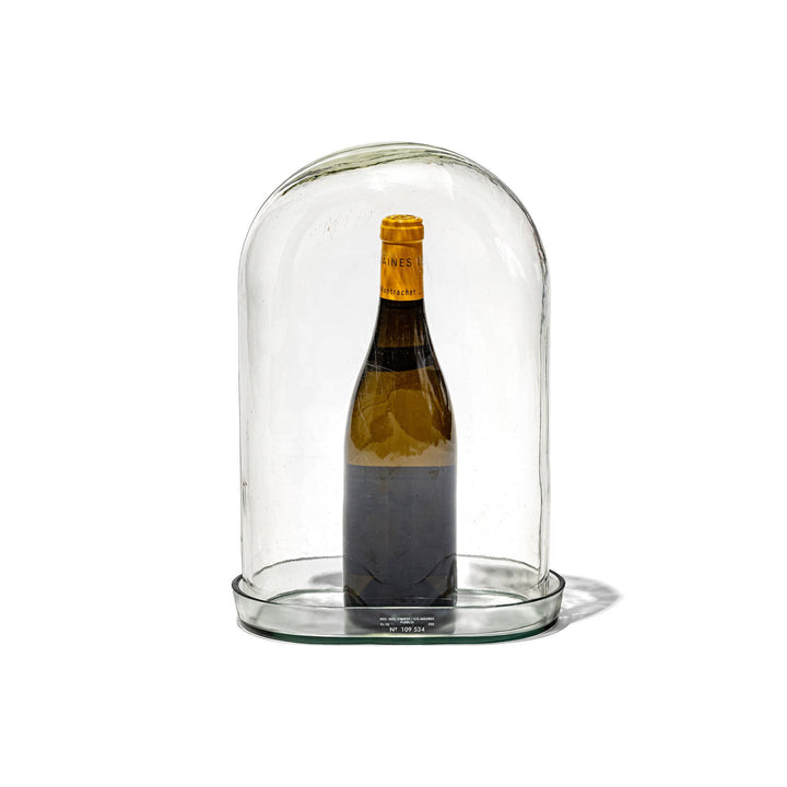 DISPLAY GLASS DOME – PUEBCO ONLINE MARKET