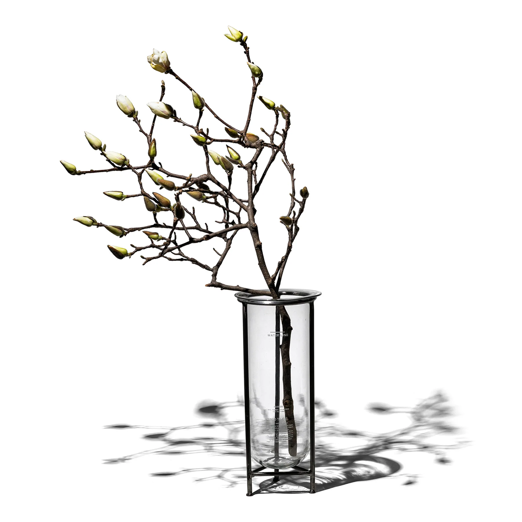 Puebco Glass Tube Vase with Stand