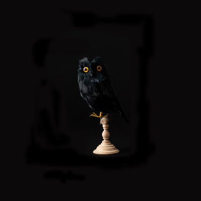 ARTIFICIAL BIRDS / OWL BLACK