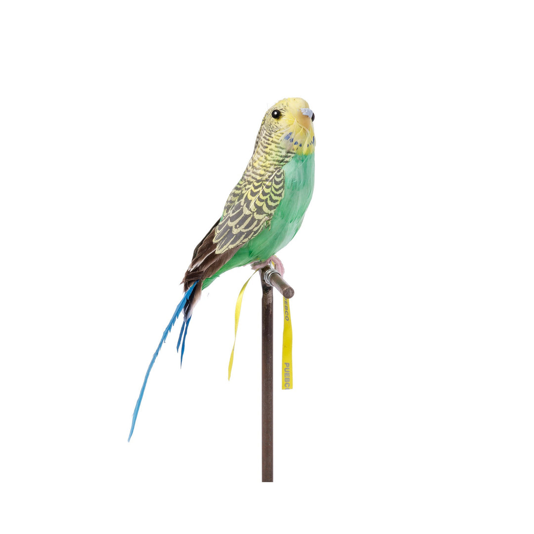 Budgie様 ARTIFICIAL BIRDS / BUDGIE – PUEBCO ONLINE MARKET