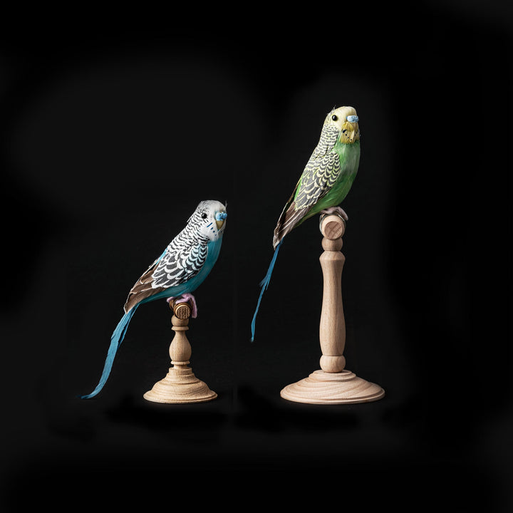 ARTIFICIAL BIRDS / BUDGIE – PUEBCO ONLINE MARKET