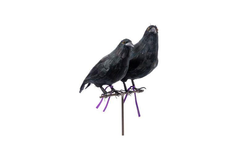 ARTIFICIAL BIRDS / CROW